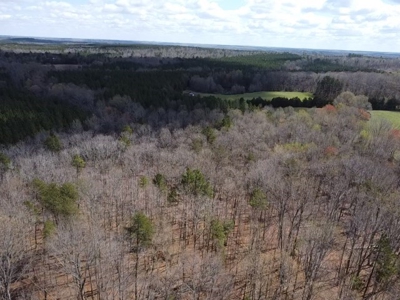 The Perfect Investment In Southern VA - image 23