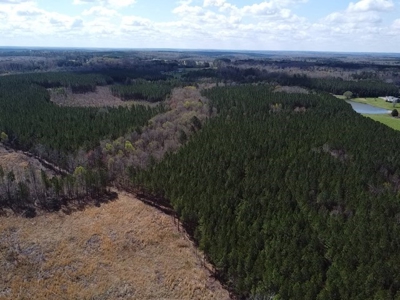 The Perfect Investment In Southern VA - image 5