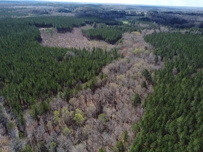 The Perfect Investment In Southern VA - image 6