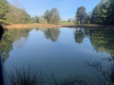 The Perfect Investment In Southern VA - image 42