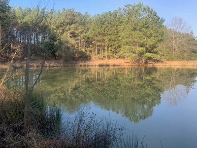 The Perfect Investment In Southern VA - image 43