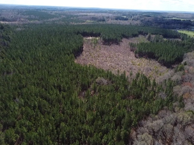 The Perfect Investment In Southern VA - image 7