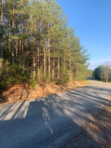 The Perfect Investment In Southern VA - image 30