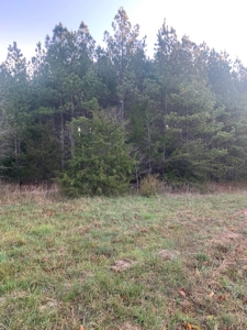 The Perfect Investment In Southern VA - image 34