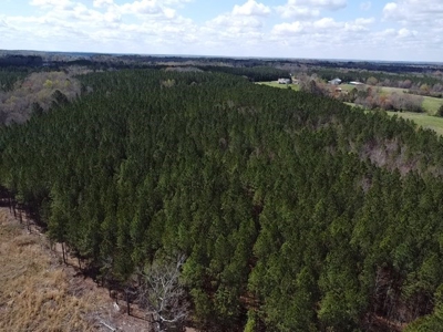 The Perfect Investment In Southern VA - image 3