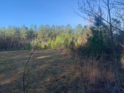 The Perfect Investment In Southern VA - image 38