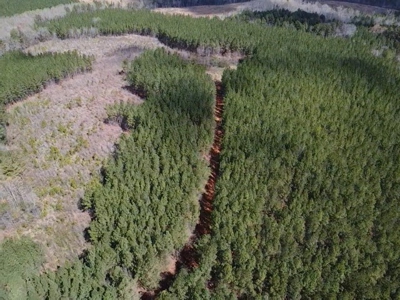 The Perfect Investment In Southern VA - image 11