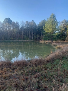 The Perfect Investment In Southern VA - image 33