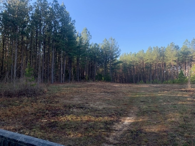 The Perfect Investment In Southern VA - image 37