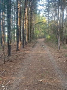 The Perfect Investment In Southern VA - image 35