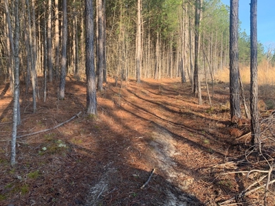 The Perfect Investment In Southern VA - image 39