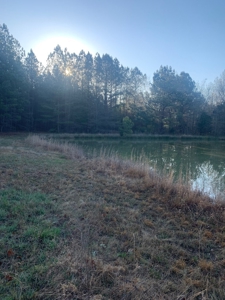 The Perfect Investment In Southern VA - image 32