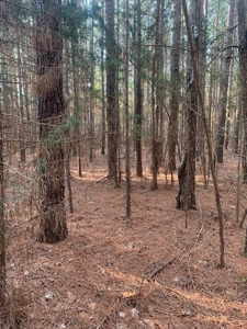 The Perfect Investment In Southern VA - image 41