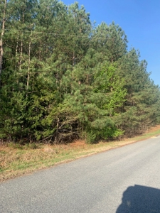 The Perfect Investment In Southern VA - image 44