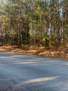 The Perfect Investment In Southern VA - image 31