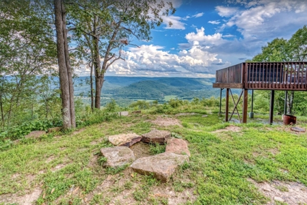 Log Home AR Grand Canyon Lodge For Sale Newton County - image 23