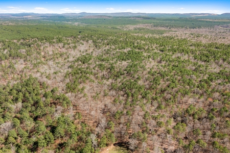 Hunting & Recreational Oklahoma Land Auction - image 9