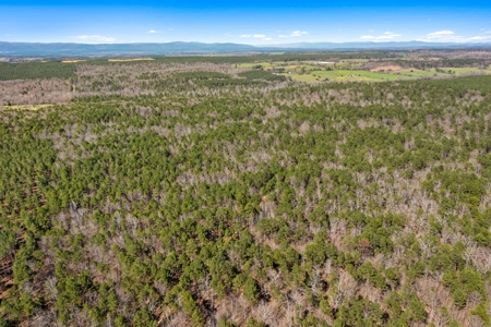 Hunting & Recreational Oklahoma Land Auction - image 2