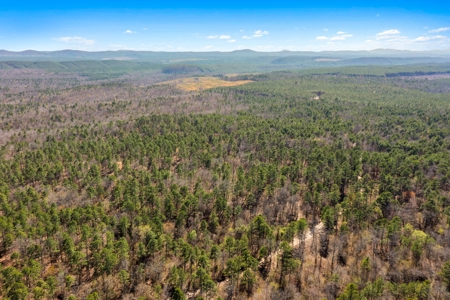 Hunting & Recreational Oklahoma Land Auction - image 12