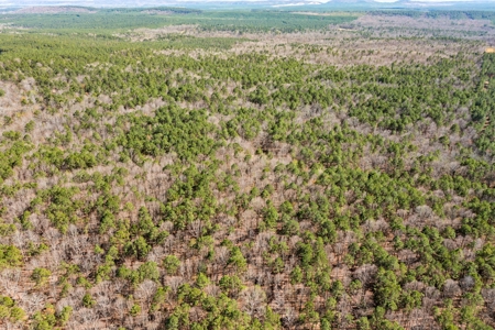 Hunting & Recreational Oklahoma Land Auction - image 7