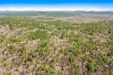 Hunting & Recreational Oklahoma Land Auction - image 8