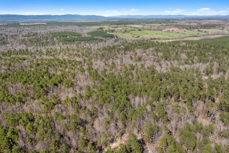 Hunting & Recreational Oklahoma Land Auction - image 5