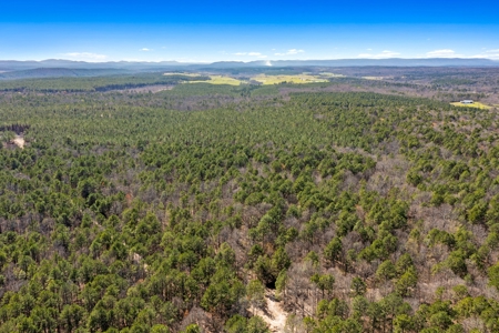 Hunting & Recreational Oklahoma Land Auction - image 4
