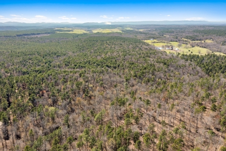 Hunting & Recreational Oklahoma Land Auction - image 11
