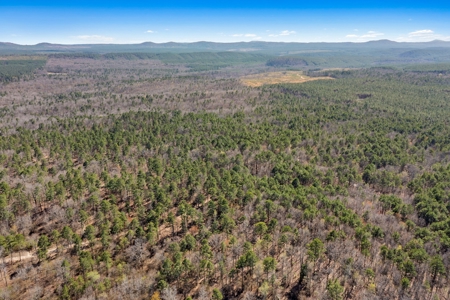Hunting & Recreational Oklahoma Land Auction - image 10