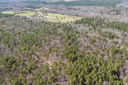 Hunting & Recreational Oklahoma Land Auction - image 6