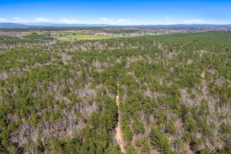 Oklahoma Hunting & Rec Land Auction - image 3