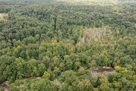 Land for Sale with Acreage in Lewis County Tennessee - image 3