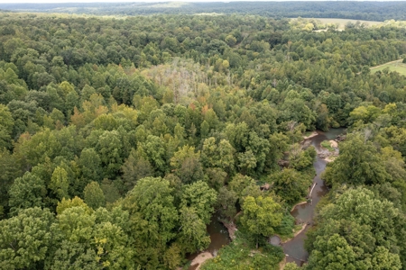 Land for Sale with Acreage in Lewis County Tennessee - image 1