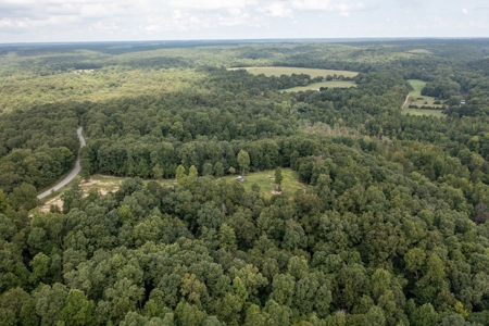 Land for Sale with Acreage in Lewis County Tennessee - image 10