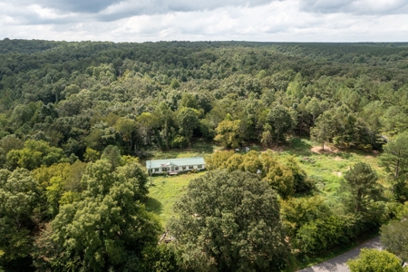 Land for Sale with Acreage in Lewis County Tennessee - image 12