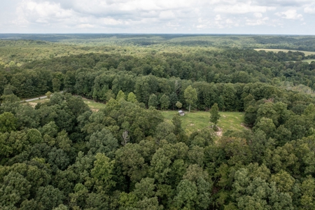 Land for Sale with Acreage in Lewis County Tennessee - image 11