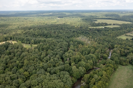 Land for Sale with Acreage in Lewis County Tennessee - image 9