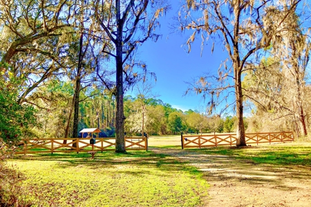 Stunning Home On 28 Acres In Lake Butler, Florida - image 10