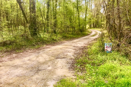 Stunning Home On 28 Acres In Lake Butler, Florida - image 1