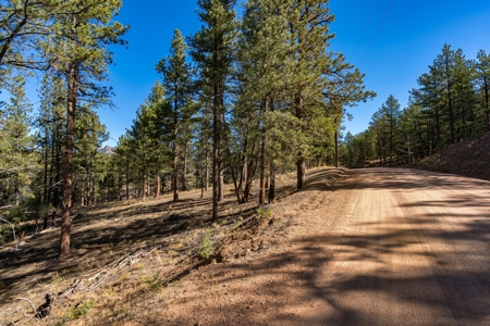 Mountain Land for Sale in Colorado - image 15
