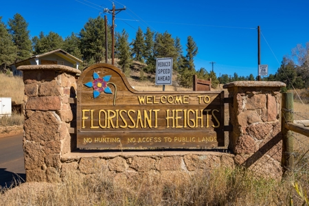 Mountain Land for Sale in Colorado - image 16