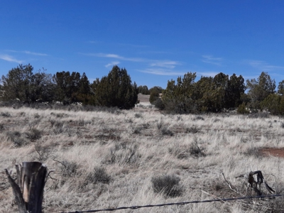 This almost 42 acre partially fenced off grid remote propert - image 1