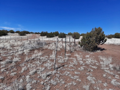 This almost 42 acre partially fenced off grid remote propert - image 5