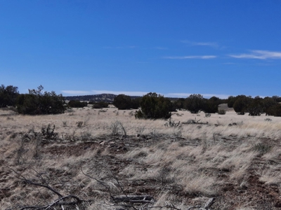 This almost 42 acre partially fenced off grid remote propert - image 6