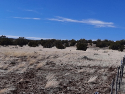 This almost 42 acre partially fenced off grid remote propert - image 9
