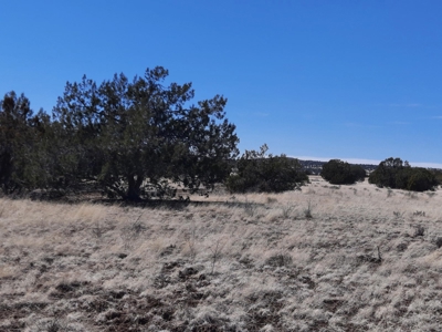 This almost 42 acre partially fenced off grid remote propert - image 2