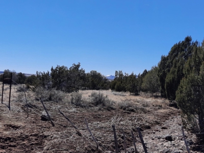 This almost 42 acre partially fenced off grid remote propert - image 3