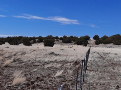 This almost 42 acre partially fenced off grid remote propert - image 10