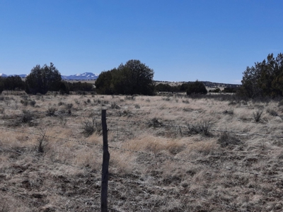 This almost 42 acre partially fenced off grid remote propert - image 4