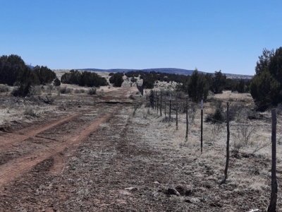 This almost 42 acre partially fenced off grid remote propert - image 7